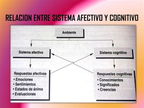 Ppt Factores Afectivos Y Cognitivos Powerpoint Presentation Free