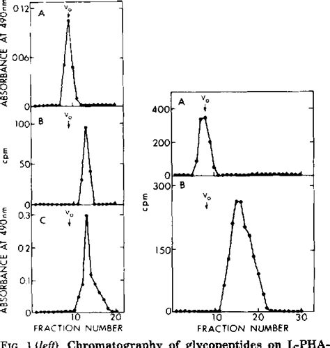 Figure From Characterization Of The Structural Determinants Required