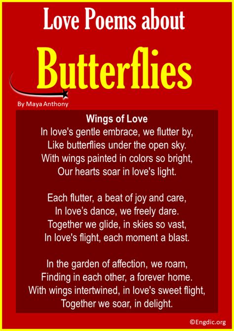 10 Best Love Poems about Butterflies - EngDic