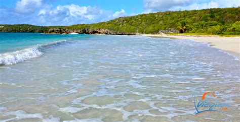 Caracas Beach Vieques Puerto Rico Vieques