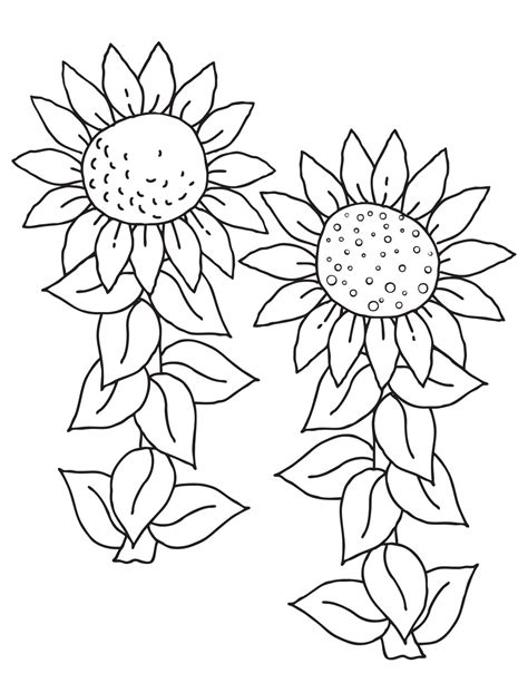 Coloring Picture Of Sunflower