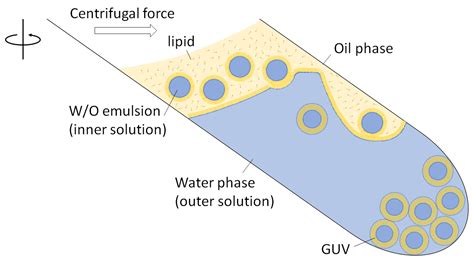 Membranes Free Full Text A Practical Guide To Preparation And Applications Of Giant