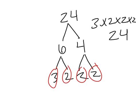 The Prime Factorization Of 24 Math Showme