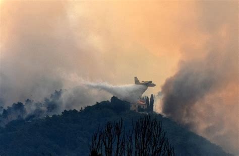 Incendio Massarosa Fronte Di Un Chilometro Case Distrutte E Sfollati