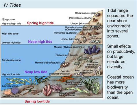 Chapter 1 Science Marine Biology Flashcards Quizlet