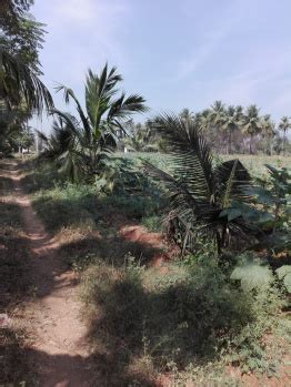 Agricultural Land For Sale In Salem Buy Farm Land In Salem