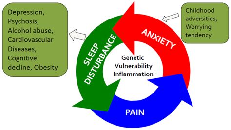 Jcm Free Full Text Sleep Well And Recover Faster With Less Paina