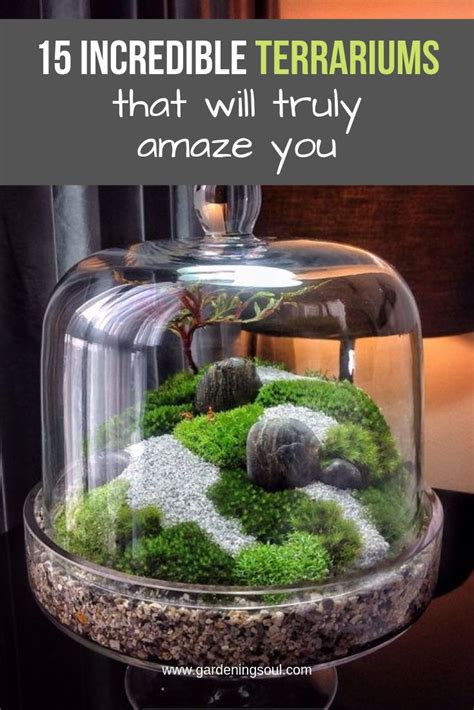 Incredible Terrariums That Will Truly Amaze You Terrarium