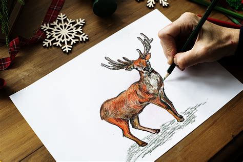 Deer Drawing Step By Step Tutorial Mimi Panda