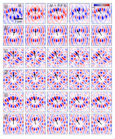 Time Evolution Of The Vectorial Components Of The Plasmonic Vortex