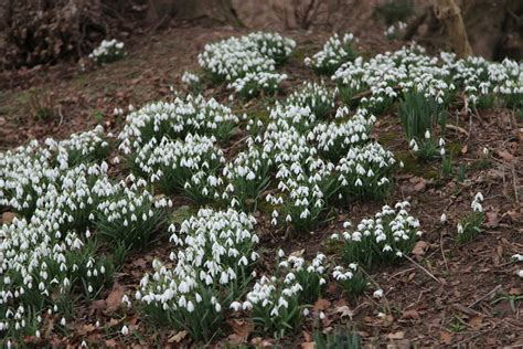 Baddesley Clinton Smtfhw Flickr