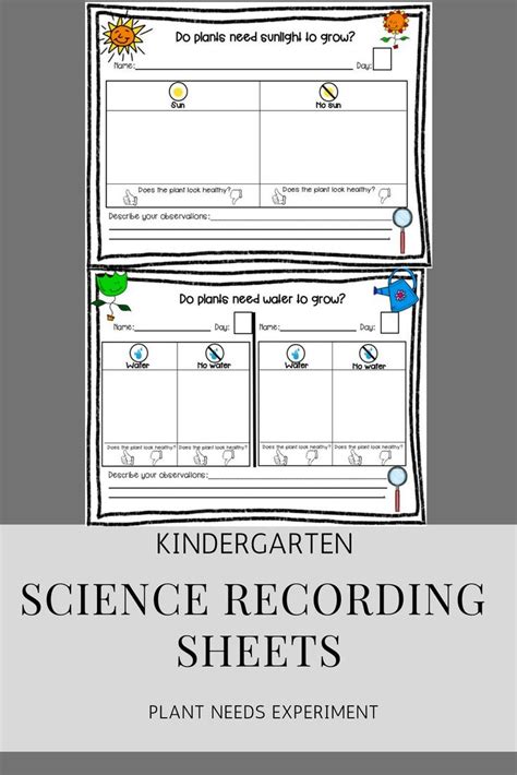 Plant Needs Science Experiment Recording Sheet Pack