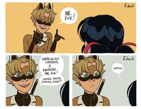 Ladies And Chats Miraculous Ladybug Anime Miraculous Ladybug Comic