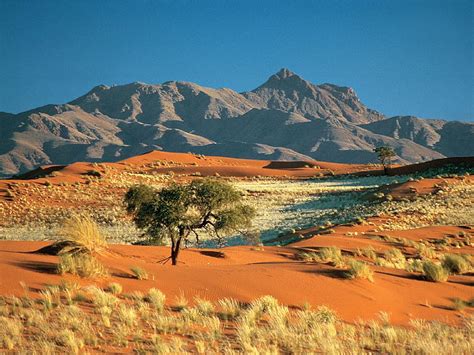 4 Desert Scenery Kalahari Desert HD Wallpaper Pxfuel