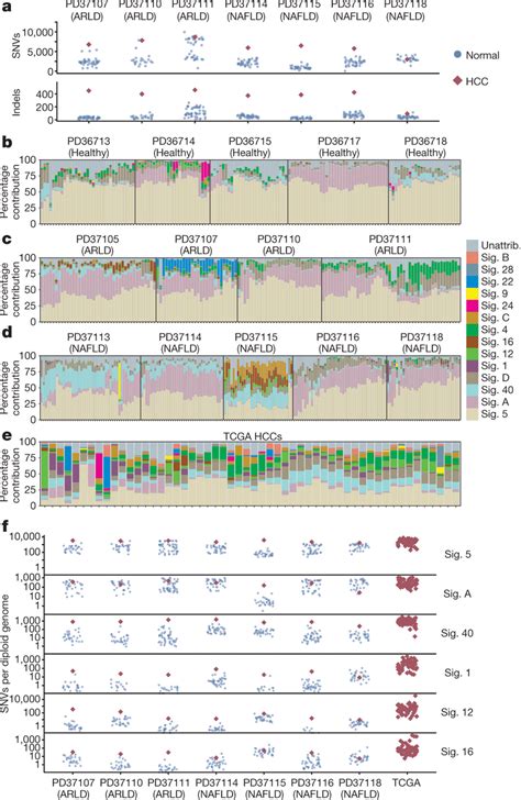 Mutational Signatures In Normal Liver Cirrhotic Liver And Hcc A