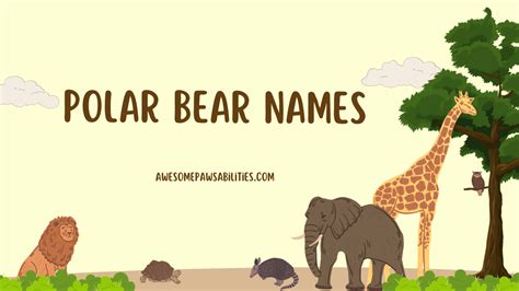 91+ Polar Bear Names | Cute, Famous, And Funny Collection