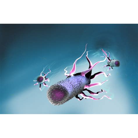 E Coli with Flagella Illustration Poster Print by Science Source ...