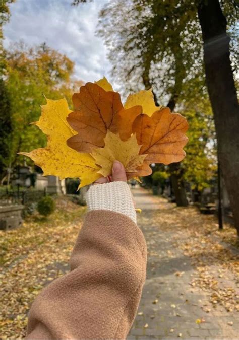 Visual Journeys Through Falls Aesthetics Fall Leaves Again Fall