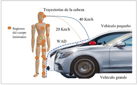 Impacto De Los Siniestros Viales Sobre La Salud Lesiones Y Mecanismos