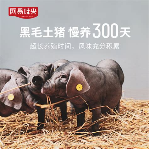 网易味央黑猪肉精瘦肉350g2瘦肉黑猪肉精瘦肉虎窝淘