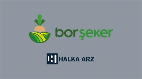 Bor Şeker halka arz ne zaman kaç lot verir katılım endeksine uygun mu