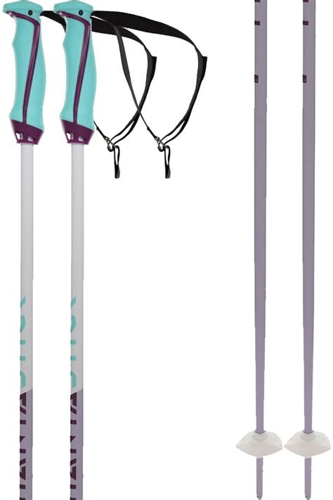 Volkl Phantastick Women S Pair Of Ski Poles Absolute Snow