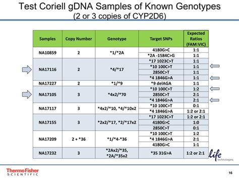 CYP2D6 Allele Specific Copy Number Analysis Using TaqMan SNP