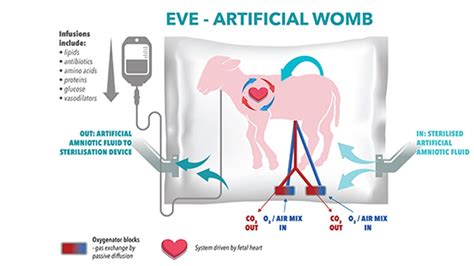 Artificial Wombs Are Getting Better And Better