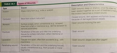 Chap Fund Exam Wounds Peri Op Oxygenation Circulation