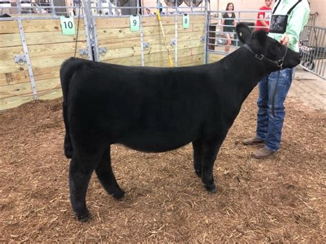 2019 Ohio State Fair Competitive Edge Genetics