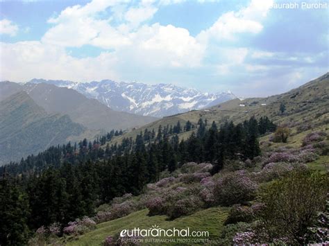 Beauty of Bugyal - Uttarakhand Photos