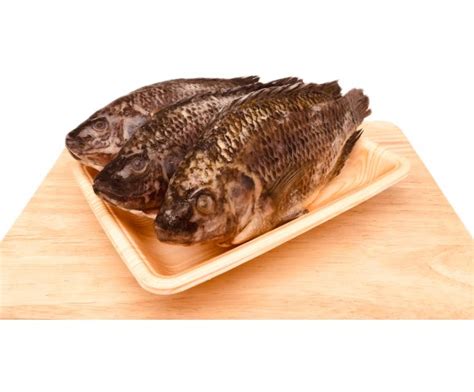 Frozen Seafood Supplier In Singapore S S Kim Enterprises