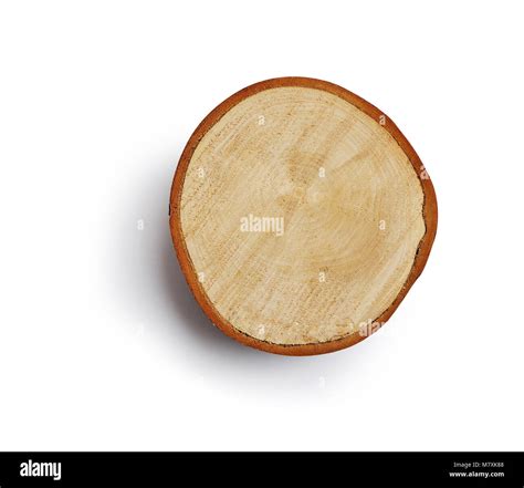 Gro E Kreisf Rmige St Ck Holz Querschnitt Mit Baum Ring Textur Muster