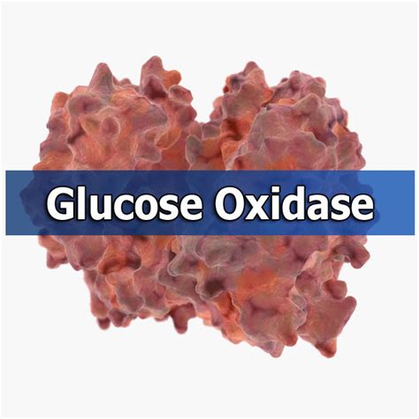 glucose oxidase 3d max