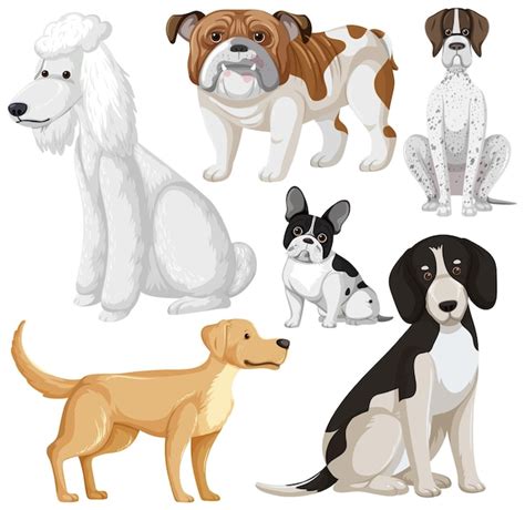 Jack Russell Terrier Clipart Zdjęcia darmowe pobieranie na Freepik