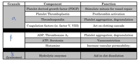 Psl 539 Unit 3 Lecture 24 Hemostasis Flashcards Quizlet