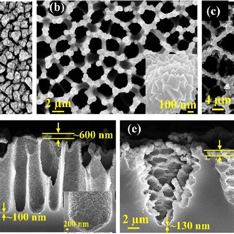 A Surface View And Cross Section Sem Images Of Tin Si Surface View