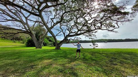 Jurassic Bap Hawaii Movie Locations Kualoa Ranch O Ahu Ju Flickr