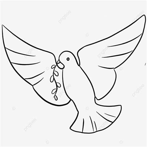 Peace Dove Hd Transparent, Peace Dove Line Drawing, Dove Of Peace ...