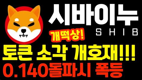 시바이누 Shib 토큰 소각 개호재 개떡상한다 0140돌파시 폭등랠리 이렇게 대응하세요 Youtube