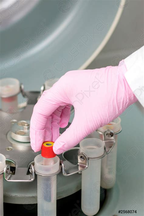 Doctor Puts Test Tube Stock Photo Crushpixel