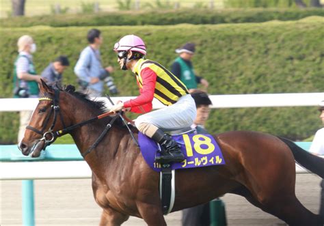 Jra・nhkマイルc（g1）波乱の立役者？ プールヴィル鍵はマイル適性だが Gj