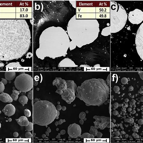 E SEMSE BSE Micrographs Showing Powder Particle Cross Sections And