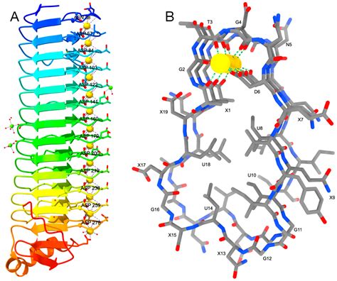 Toxins Free Full Text Structurefunction Relationships Of The