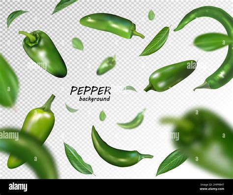 Falling Green Chili Or Chilli Pepper Isolated On Transparent Realistic