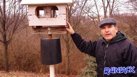 How To Keep Squirrels Off Of Your Bird Feeder Youtube