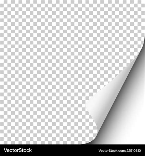 Page Curl On Blank Transparent Sheet Of Paper Vector Image