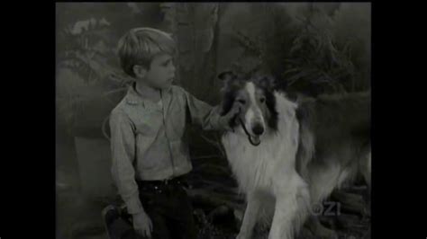 Lassie Episode 218 The Fog Season Season 6 Ep 36 05 16 1960