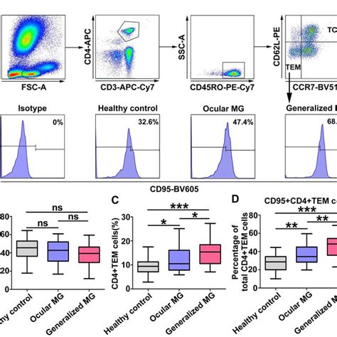 Investigation Of The Effects Of Sex On The CD4 TCM CD4 TEM And