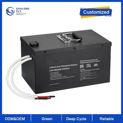 OEM ODM LiFePO4 Lithium Battery Custom 24v 48v 80v AMR Battery